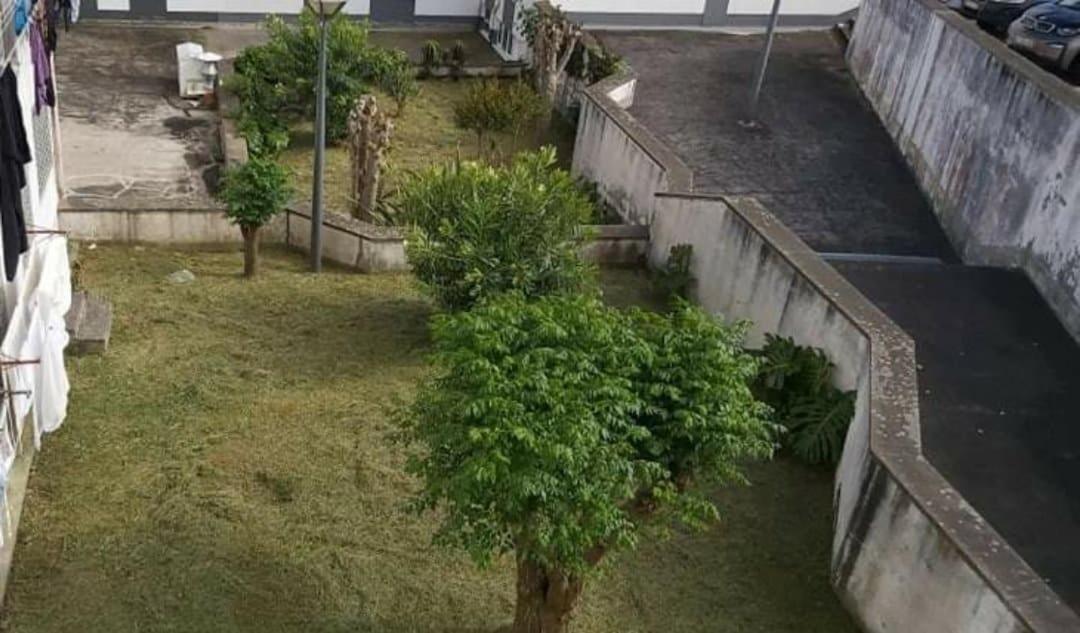 Apartamento Orquídea Ponta Delgada Exterior foto